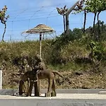 Quinta Dos Amores Ferienhaus