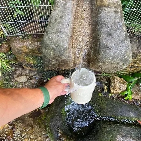 Dom wakacyjny Quinta Dos Amores