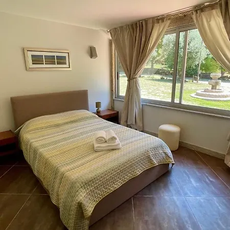 Quinta Dos Amores Σπίτι διακοπών Ponte de Lima