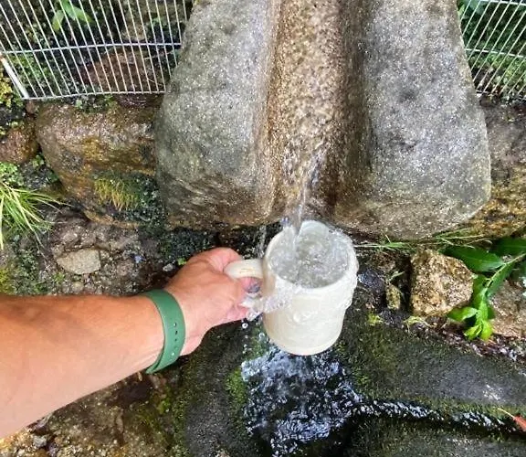 Ferienhaus Quinta Dos Amores